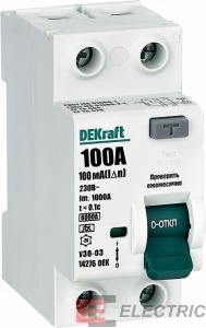  2P 100A 100  A 6 -03 .