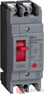    2P 125A 20 -301