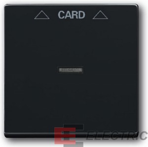      2025 U, Future/Axcent/Carat/, /
