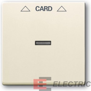      2025 U, Future/Axcent/Carat/,  