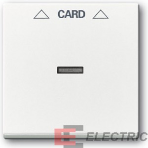      2025 U, Future/Axcent/Carat/, . 
