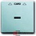     2025 U, Future/Axcent/Carat/, . .