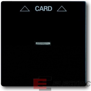     2025 U, Future/Axcent/Carat/,  