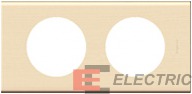  2  CLN